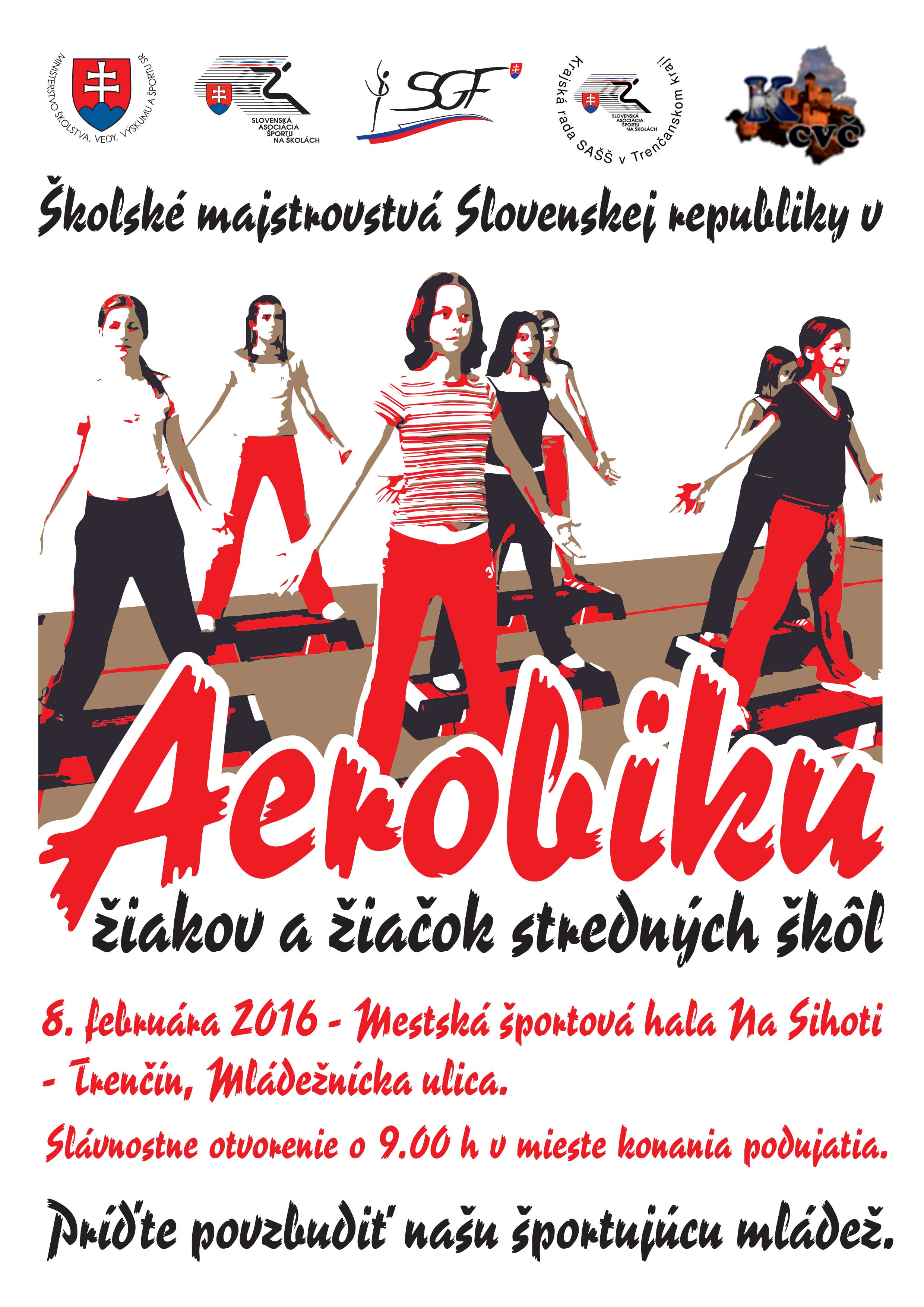 Aerobic Plagat 2016 copy copy copy
