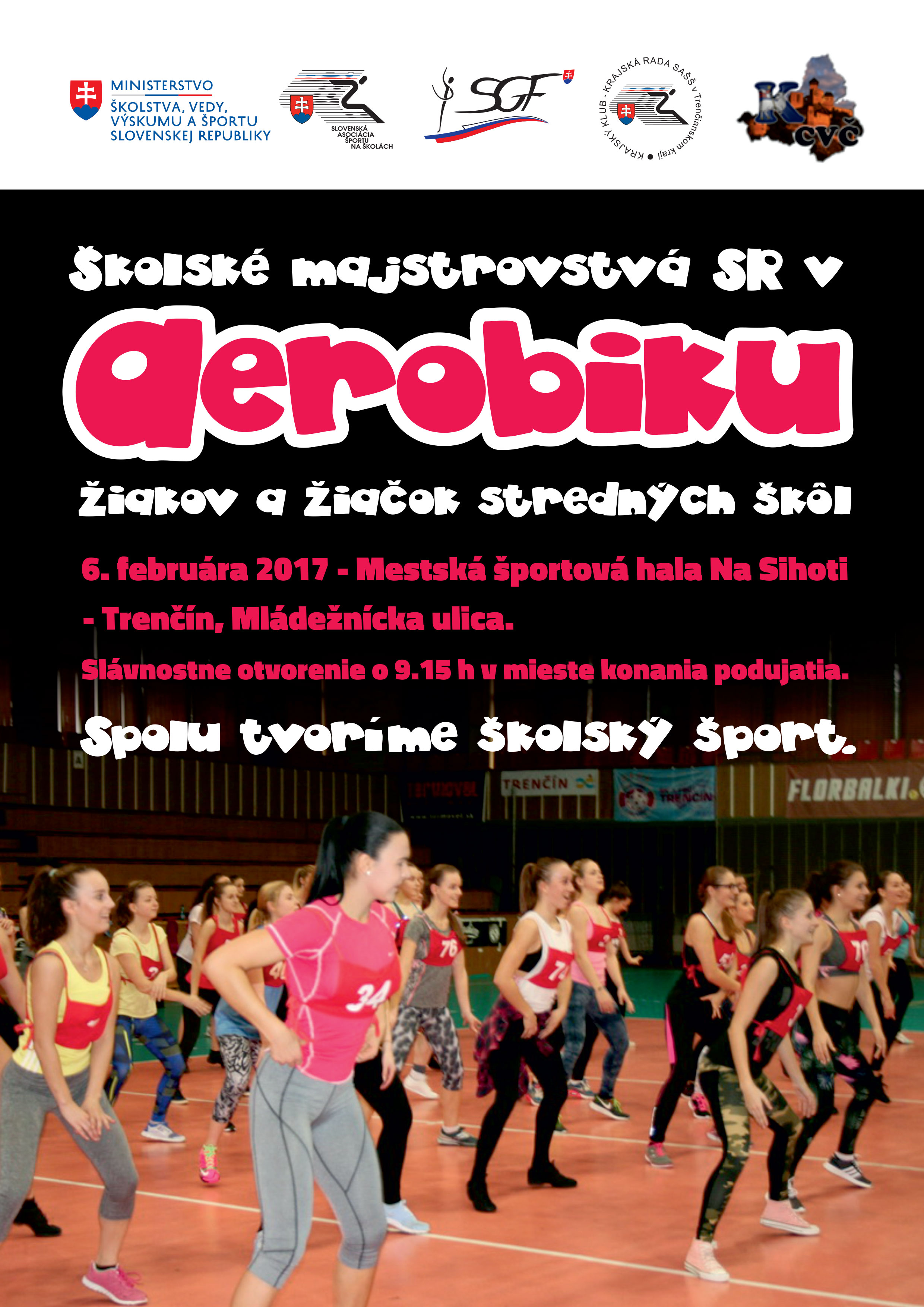 Aerobic Plagat 01