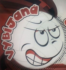 logo vybijaana